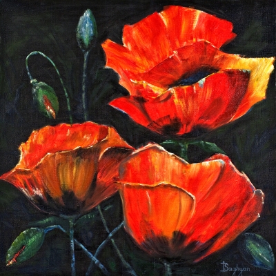 POPPIES          