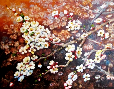 BLOOMING APRICOT TREE