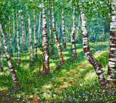 BIRCH GROVE NEAR THE VILLAGE OF VIOLET 