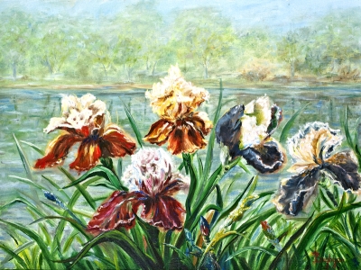 IRISES 